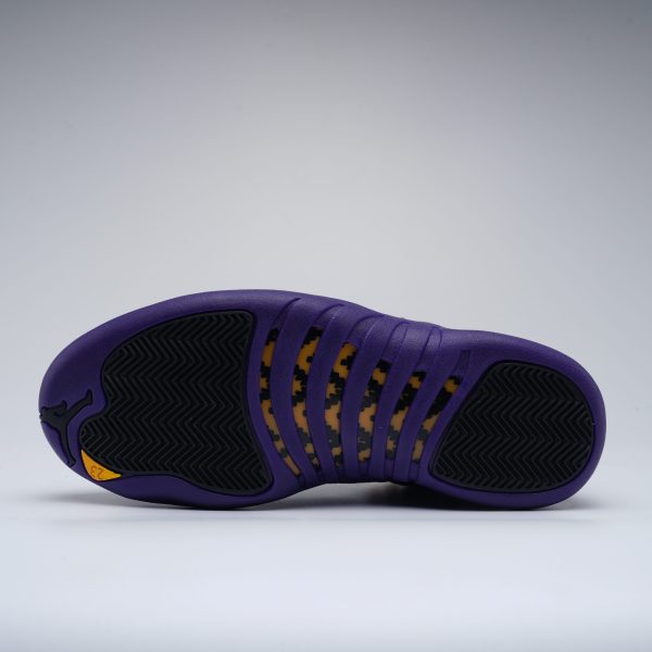 Air Jordan 12 Retro Field Purple GS