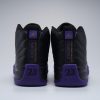Air Jordan 12 Retro Field Purple GS