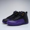 Air Jordan 12 Retro Field Purple GS